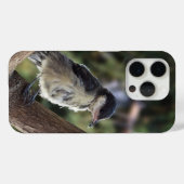 Tidi my Bird the Parus Major Case-Mate iPhone Hülle (Rückseite (Horizontal))
