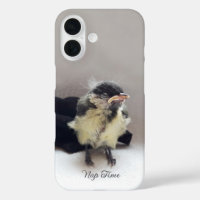 Tidi my Bird the Parus Major
