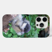 Tidi my Bird the Parus Major Case-Mate iPhone Hülle (Rückseite (Horizontal))