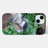 Tidi my Bird the Parus Major Case-Mate iPhone Hülle (Rückseite (Horizontal))
