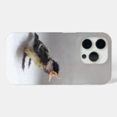 Tidi my Bird the Parus Major Case-Mate iPhone Hülle (Rückseite (Horizontal))