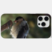 Tidi my Bird the Parus Major Case-Mate iPhone Hülle (Rückseite (Horizontal))