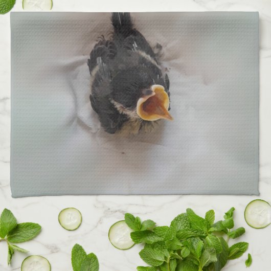 Tidi my Bird the Parus Major Geschirrtuch (Gefaltet)