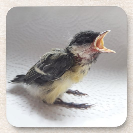 Tidi my Bird the Parus Major Getränkeuntersetzer (Vorderseite)