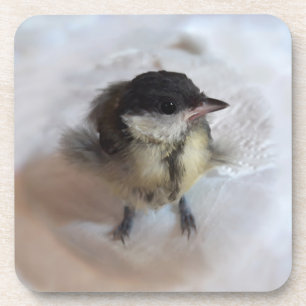 Tidi my Bird the Parus Major Getränkeuntersetzer
