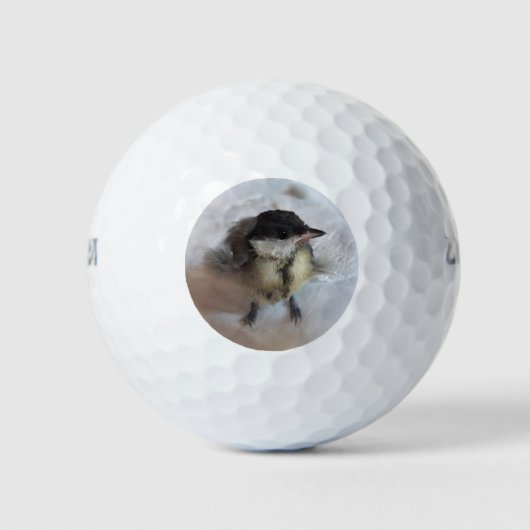 Tidi my Bird the Parus Major Golfball (Vorderseite)
