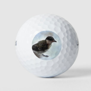 Tidi my Bird the Parus Major Golfball