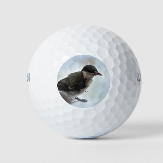 Tidi my Bird the Parus Major Golfball (Vorderseite)
