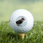 Tidi my Bird the Parus Major Golfball (Insitu T-Shirt)