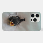 Tidi my Bird the Parus Major iPhone Hülle (Rückseite (Horizontal))