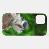 Tidi my Bird the Parus Major iPhone Hülle (Rückseite (Horizontal))