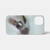 Tidi my Bird the Parus Major iPhone Hülle (Rückseite (Horizontal))