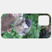 Tidi my Bird the Parus Major iPhone Hülle (Hinten horizontal)