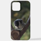 Tidi my Bird the Parus Major iPhone Hülle (Rückseite)