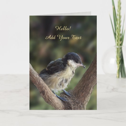 Tidi my Bird the Parus Major Karte (Vorderseite)