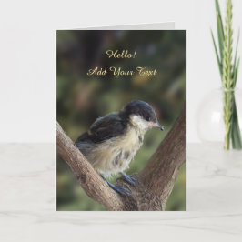 Tidi my Bird the Parus Major Karte