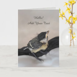 Tidi my Bird the Parus Major Karte