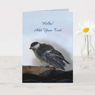 Tidi my Bird the Parus Major Karte