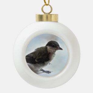 Tidi my Bird the Parus Major Keramik Kugel-Ornament