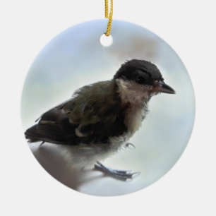 Tidi my Bird the Parus Major Keramik Ornament