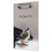 Tidi my Bird the Parus Major Klemmbrett (Links)