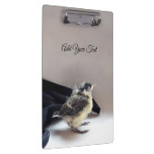 Tidi my Bird the Parus Major Klemmbrett (Rechts)