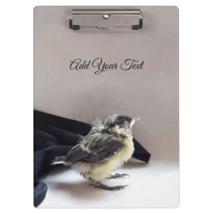 Tidi my Bird the Parus Major Klemmbrett