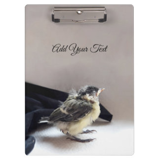 Tidi my Bird the Parus Major Klemmbrett