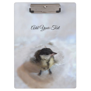 Tidi my Bird the Parus Major Klemmbrett