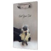 Tidi my Bird the Parus Major Klemmbrett (Links)