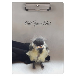 Tidi my Bird the Parus Major Klemmbrett