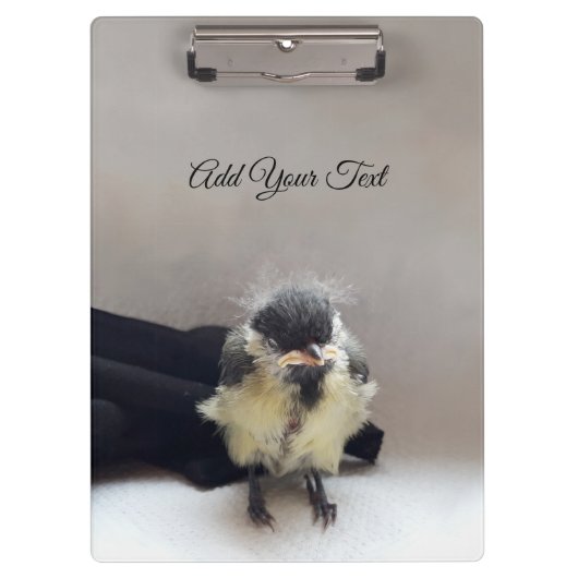 Tidi my Bird the Parus Major Klemmbrett (Vorderseite)