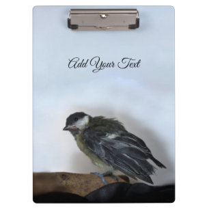 Tidi my Bird the Parus Major Klemmbrett