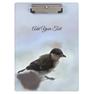 Tidi my Bird the Parus Major Klemmbrett