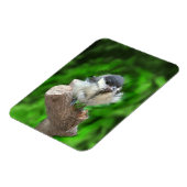 Tidi my Bird the Parus Major Magnet (Linke Seite)