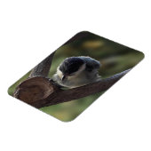 Tidi my Bird the Parus Major Magnet (Linke Seite)