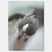 Tidi my Bird the Parus Major Magnet (Vorderseite)