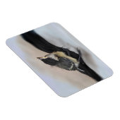 Tidi my Bird the Parus Major Magnet (Rechte Seite)