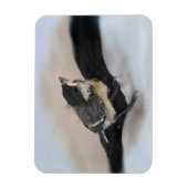 Tidi my Bird the Parus Major Magnet (Vertikal)
