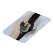 Tidi my Bird the Parus Major Magnet (Linke Seite)