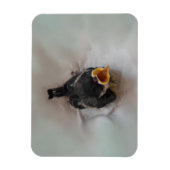 Tidi my Bird the Parus Major Magnet (Vertikal)