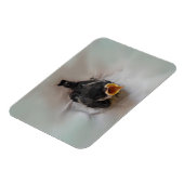 Tidi my Bird the Parus Major Magnet (Linke Seite)