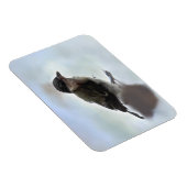 Tidi my Bird the Parus Major Magnet (Rechte Seite)