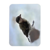 Tidi my Bird the Parus Major Magnet (Vertikal)