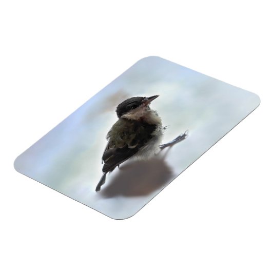 Tidi my Bird the Parus Major Magnet (Linke Seite)