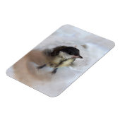 Tidi my Bird the Parus Major Magnet (Linke Seite)
