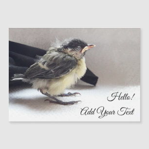 Tidi my Bird the Parus major Magnetic Card Magnetkarte