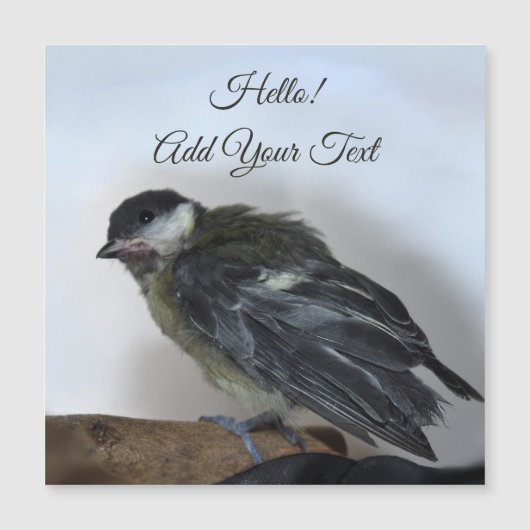 Tidi my Bird the Parus major Magnetic Card Magnetkarte (Vorderseite)