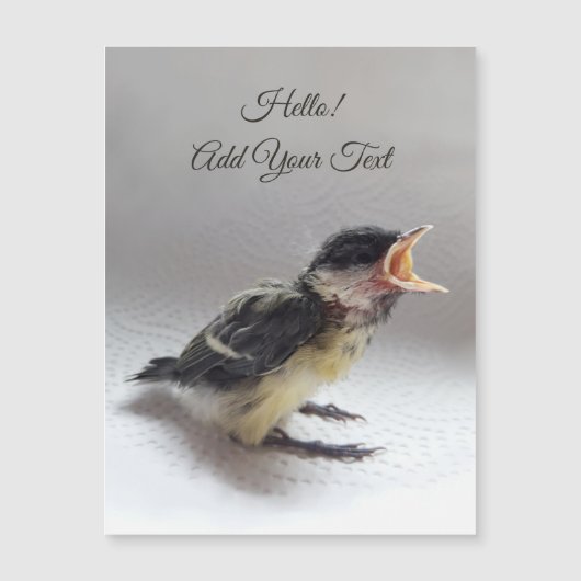 Tidi my Bird the Parus major Magnetic Card Magnetkarte (Vorderseite)
