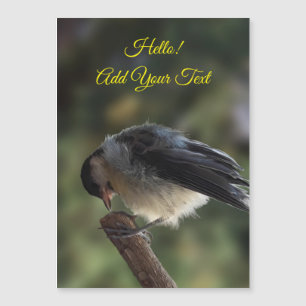 Tidi my Bird the Parus major Magnetic Card Magnetkarte
